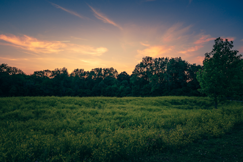 SGS Polska zaprasza 18 listopada na webinar: Środowiskowe systemy zarządzania – zmiany.